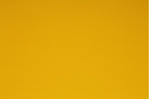 BAGUM FOSCO AMARELO CICAP